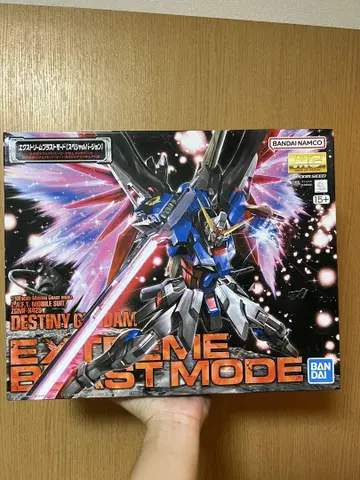 MG 1/100 데스티니 건담 익스트림 블라스트 모드