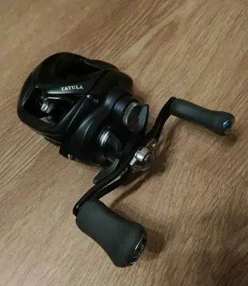다이와(DAIWA) 베이트 릴 24TATULA TW 100HL