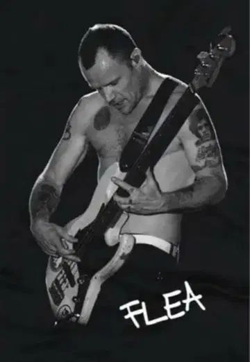 레드 핫 칠리 페퍼스 티셔츠 RedHotChiliPeppers 프리