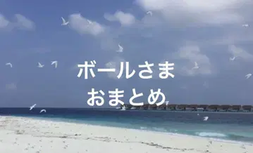공 2개입니다.