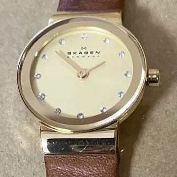 SKARGEN 스카겐 손목시계