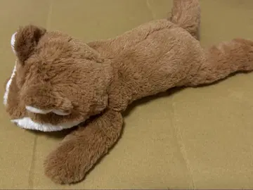 미야카와 군 미야카와 다이세이 여우 봉제 인형