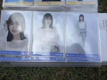노기자카46 브로마이드 메쉬 니트 시바타 유즈나 컴프