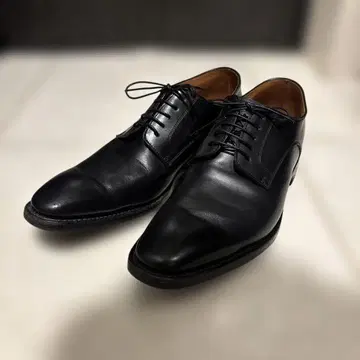 리걸 플레인토