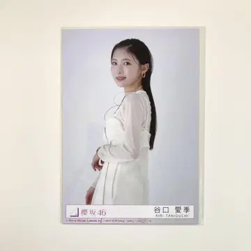 타니구치 아이리 addiction 봉입 브로마이드