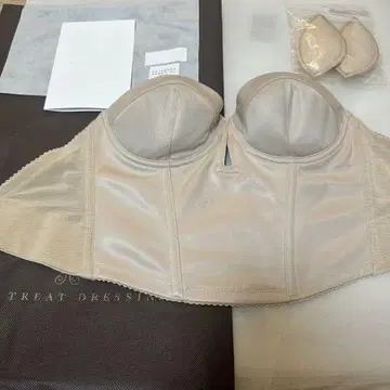 THE TREAT DRESSING 숏 뷔스티에 C70