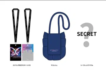 fantastic 업그레이드 굿즈 투어