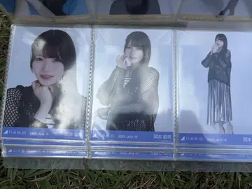 노기자카46 브로마이드 메쉬 니트 오카모토 히나 컴프
