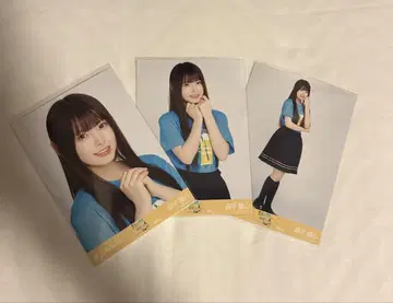 노기자카46 모리히라 레이코 브로마이드 시즈오카 라이브 T 컴프