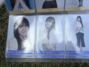 노기자카46 브로마이드 메쉬 니트 카와사키 사쿠라 컴프