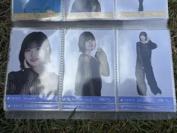 노기자카46 브로마이드 메쉬 니트 나카니시 아르노 컴프