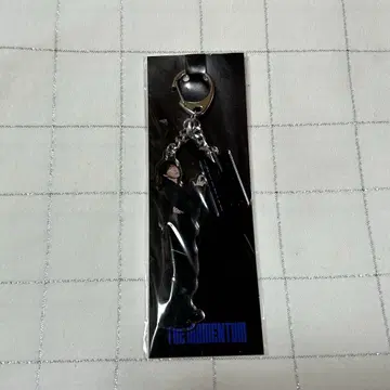 NCT127 일리칠 모멘텀 아크릴 키링 도영