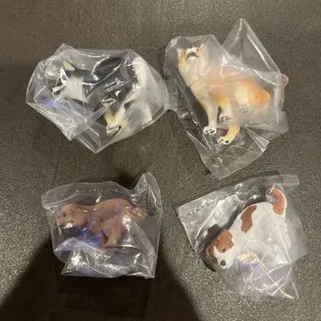 훈마리~누 시바견, 블랙 시바견, 푸들, 테리어 4마리
