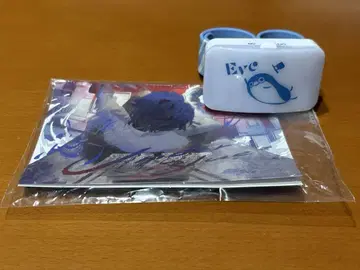 Eve 라이브 굿즈 LED 밴딩 Under Blue