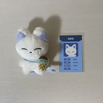 ENHYPEN 선우 봉제 인형 인형