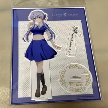 스카게 소 아크릴 스탠드 Summer Pockets POP UP 마루이