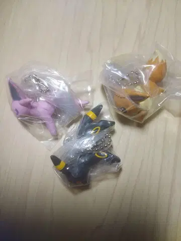 포켓몬 집어 연결 마스코트 에이피 블래키 이브이