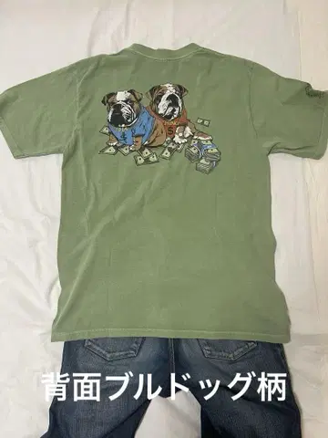 crazy shirts 불독 패턴