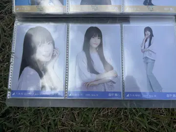 노기자카46 브로마이드 메쉬 니트 모리히라 레이코 컴프