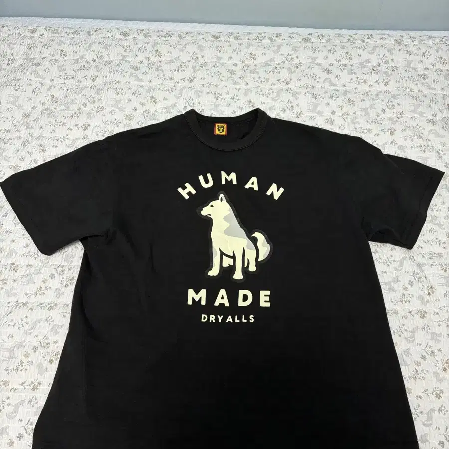 Shop 휴먼메이드진돗개 on Bunjang Global Site - No more