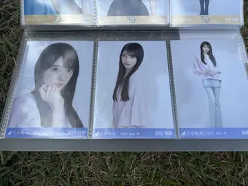 노기자카46 브로마이드 메쉬 니트 야다 모에카 컴프