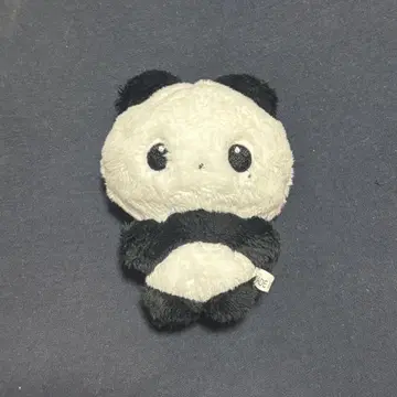 nctwish 위시 사쿠야 봉제 인형