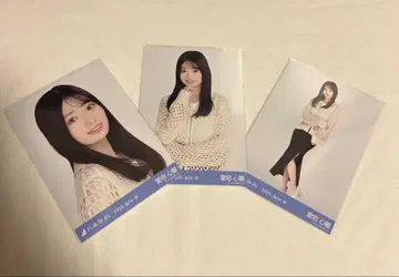노기자카46 브로마이드 메쉬 니트 컴프 아타고 코코로
