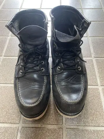 빈티지 REDWING 8179 사각 개 택 아이리쉬 세터 US8.5