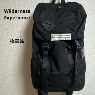 WEIDENESS EXPERIENCE 백팩 백팩 블랙 컨디션 최상