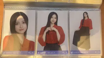 브로마이드 이노우에 카즈 메쉬 니트 컴프