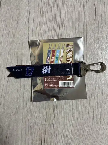 라쿠텐 이글스 고사 선수 봉핀