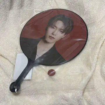 SEVENTEEN POWER OF LOVE 디노 부채