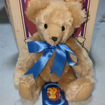English Teddy Bear Company 여권이 포함된 테디베어
