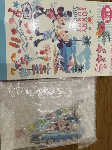 써니 써니 썸머 키체인 시크릿