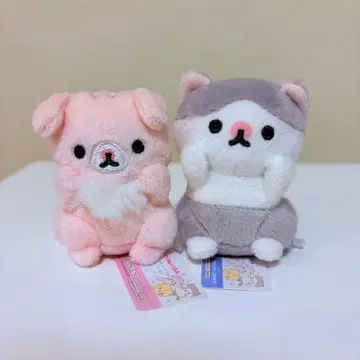 새상품 코로코로 코로냐 고양이 봉제 인형 마스코트 새끼 고양이 산엑스