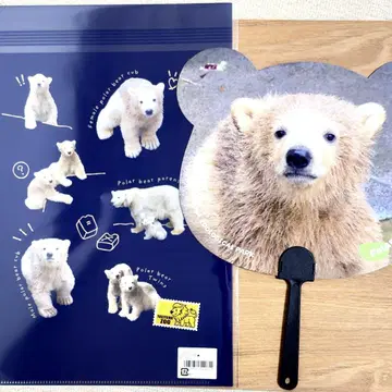 야기야마 북극곰 쌍둥이 클리어 파일과 부채 세트