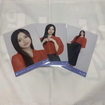 노기자카46 브로마이드 이노우에 카즈 메쉬 니트 컴프