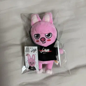SKZOO MINI PLUSH 찬빈 돼끼 봉제 인형