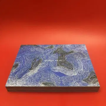 sakanaction 834.194 CD Blu-ray 포함 첫 앨범