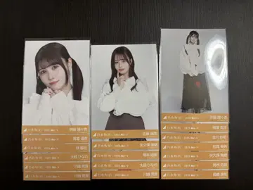 노기자카46 빅 보타이 블라우스 브로마이드 묶음 판매