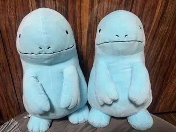 스카이블루 콰카왈라비 봉제 인형 2개 세트