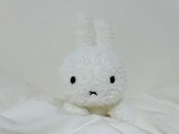 딕 블루나 미피 봉제 인형 누워있는 토끼