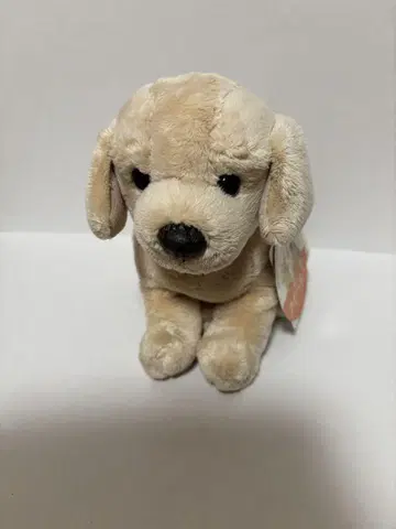 쿠이르 베이지 개 봉제 인형