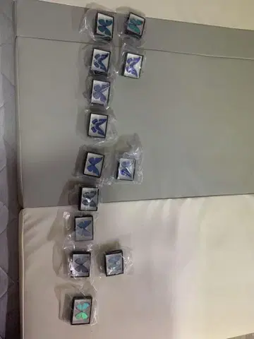 독일 상자 마그넷 컬렉션 모르포 나비 특장판