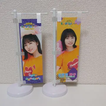 히나타자카46 쇼겐지 요코 플래그