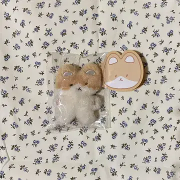 베크히 베키 트레기
