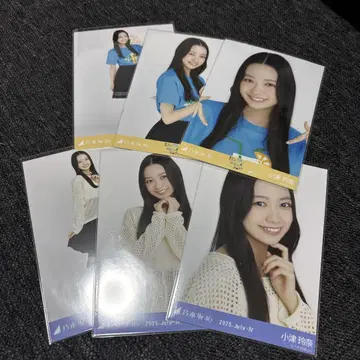노기자카46 오즈 레이나 브로마이드 전지 시즈오카 메쉬 니트 컴프