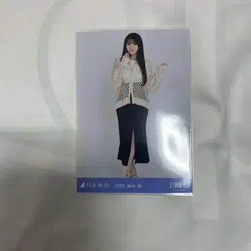 노기자카46 브로마이드 카와사키 사쿠라 메쉬 니트 히키
