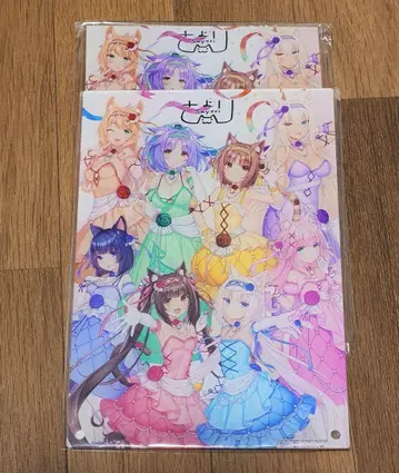 고양이 파라 아크릴 보드 2개 세트