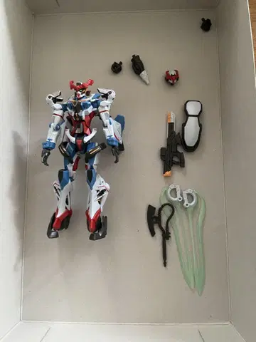 HG GQuuuuuuX 지크 액스 정크